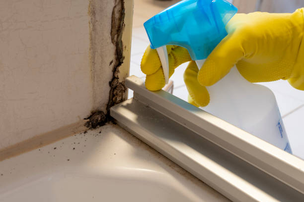 Best Office Mold Removal Services  in Cleveland, TX